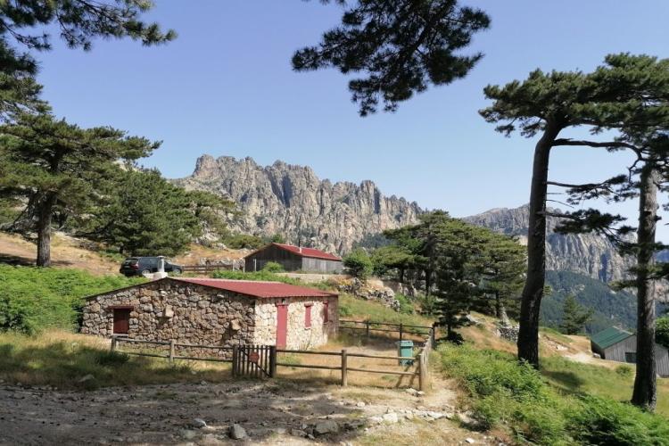 Vista delle Aiguilles de Bavella (GR20 Corsica) durante il trasferimento privato VTC all'aeroporto di Ajaccio.