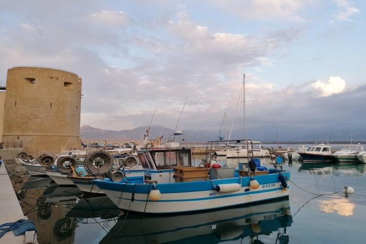 Vue sur le port de Calvi lors d’un transfert privé VTC depuis l’aéroport de Bastia Poretta