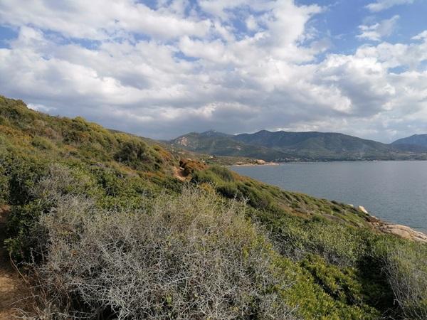 Vue sur Sagone depuis la pointe du Triu lors d'un transfert privé VTC depuis l'aéroport d'Ajaccio