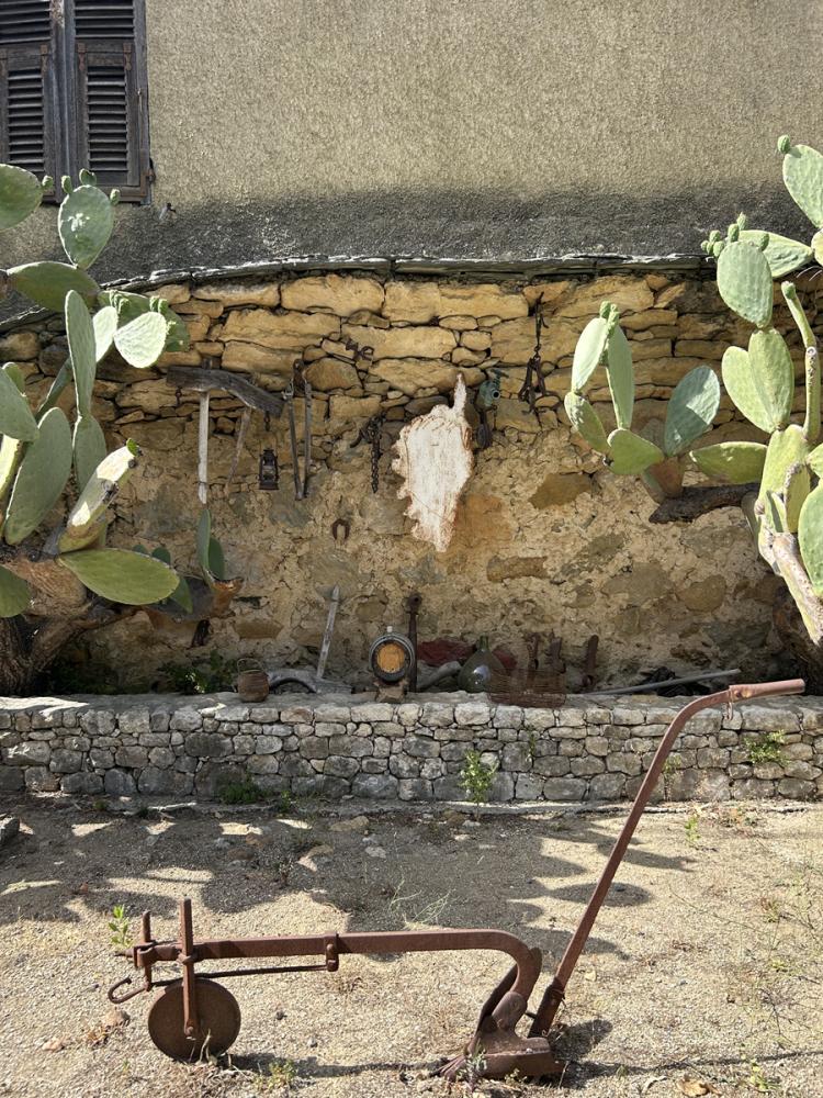 Domaine viticole à Patrimonio lors d'un circuit vtc depuis Bastia