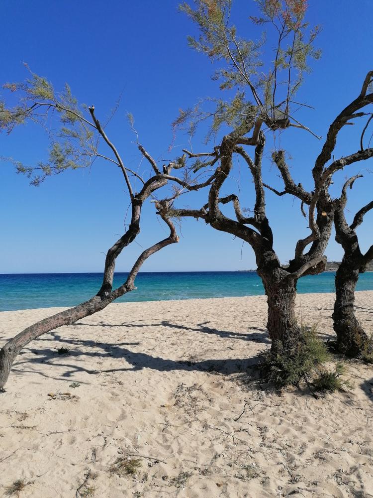 la plage d'Aregno lors d'un circuit vtc depuis Bastia