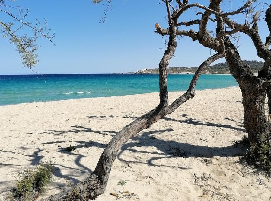 Corse VTC Calvi