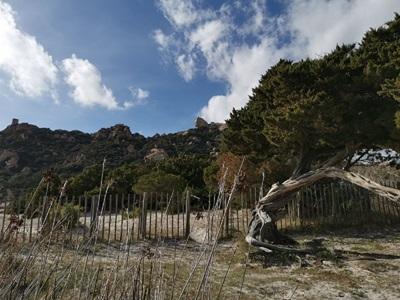 Vue sur la baie au lion de Roccapina lors d'un circuit privé VTC depuis Propriano